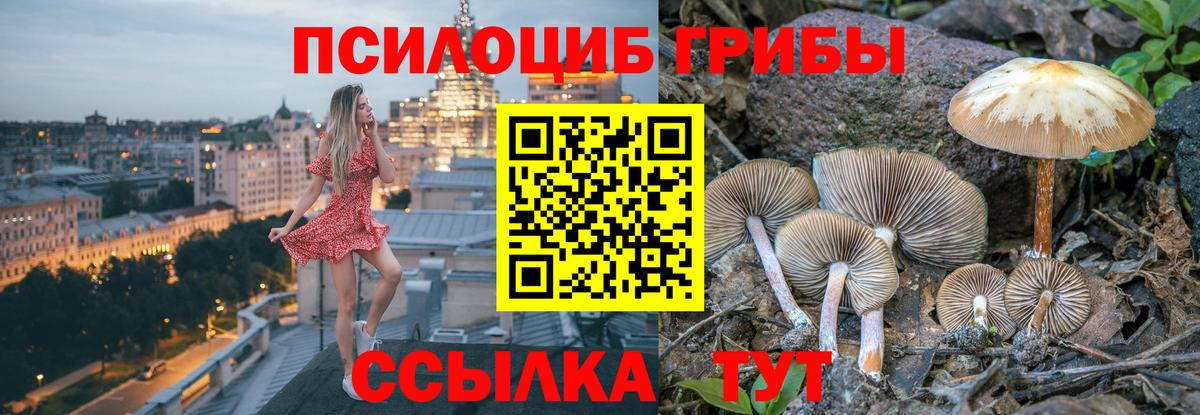 Галлюциногенные грибы мухоморы  Псилоцибиновые грибы MAGIC MUSHROOMS  Солнечногорск  Вход с VPN 